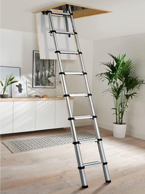 ladder3.6m0.webp
