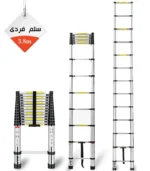 Single-Ladder