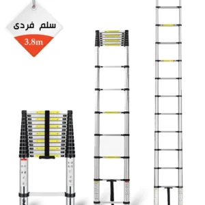 Single-Ladder