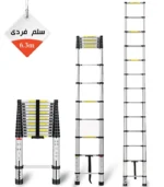 Single-Ladder