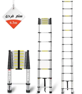 Single-Ladder