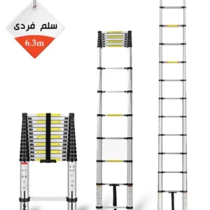 Single-Ladder