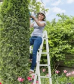 ⁦سلم متعدد الأغراض 4.7 متر سقالة <strong>حاصل على شهادة الجودة الأوروبية EN131</strong>⁩ - الصورة ⁦3⁩